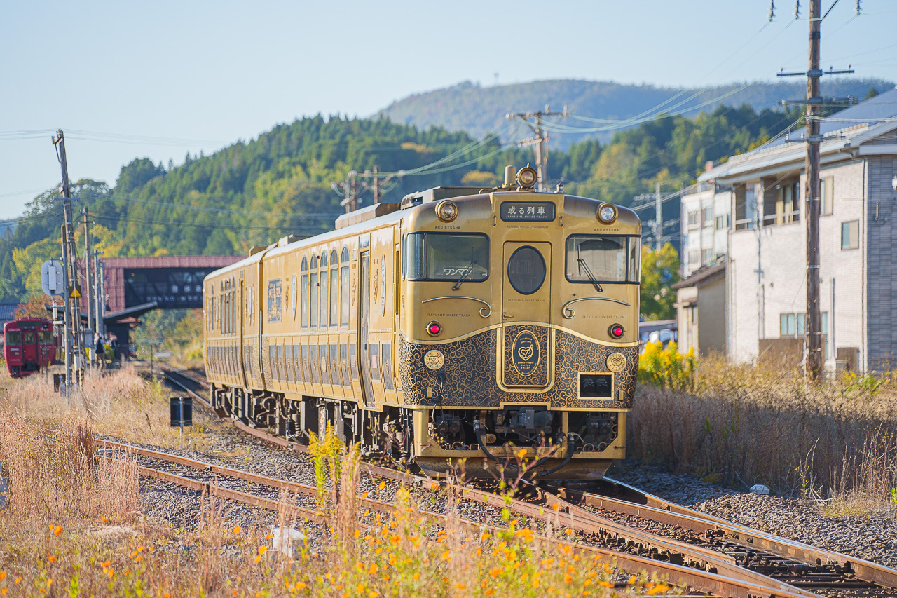 D&amp;S열차인 아루렛샤
