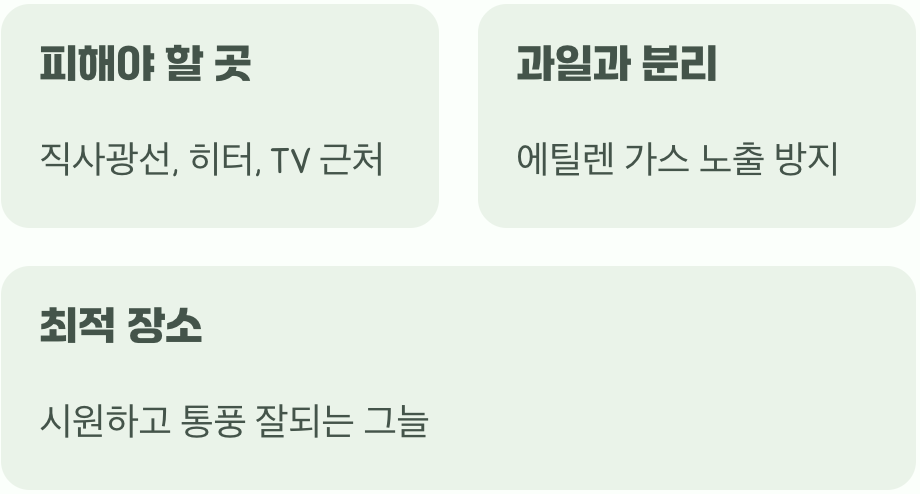 시원한 장소를 좋아해요