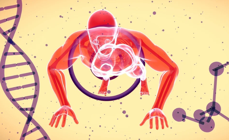 면역력 강화 이미지