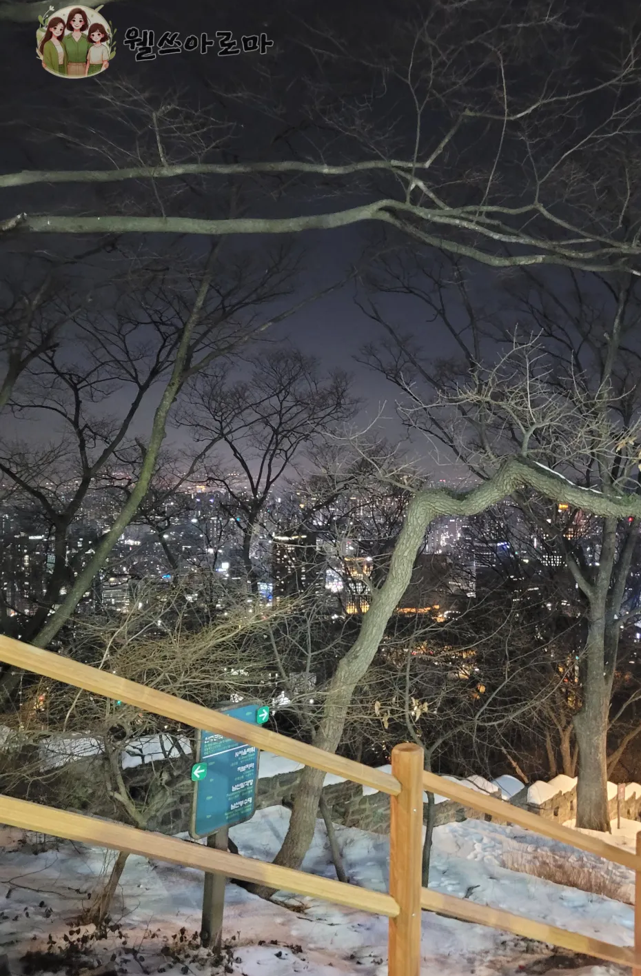 서울남산타워-케이블카-하행선대기-서울야경