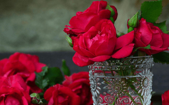 삼척장미축제 일정 입장료 주차장 관람꿀팁