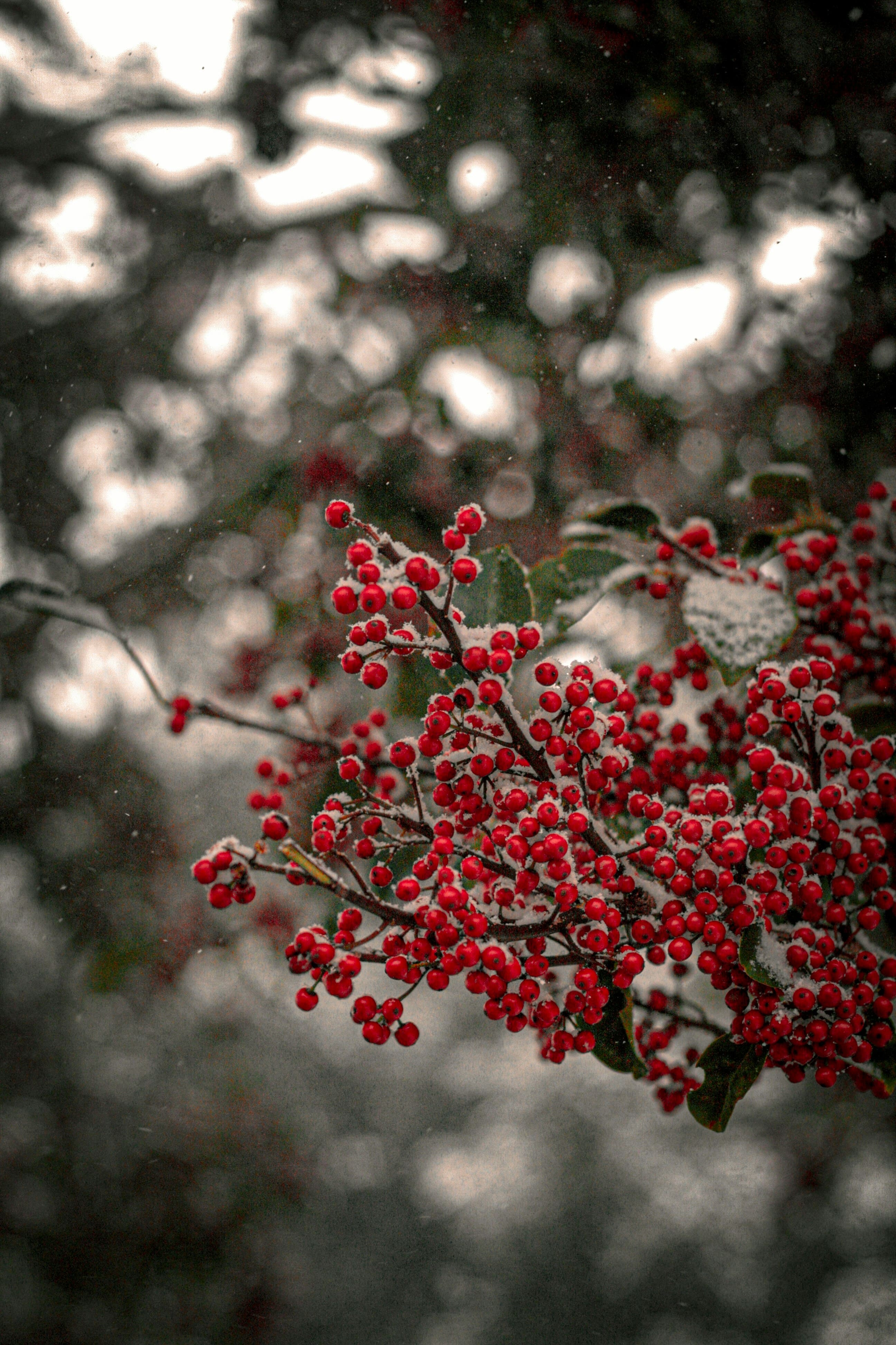 겨울 제주 인생샷 찍기 좋은 곳TOP 8