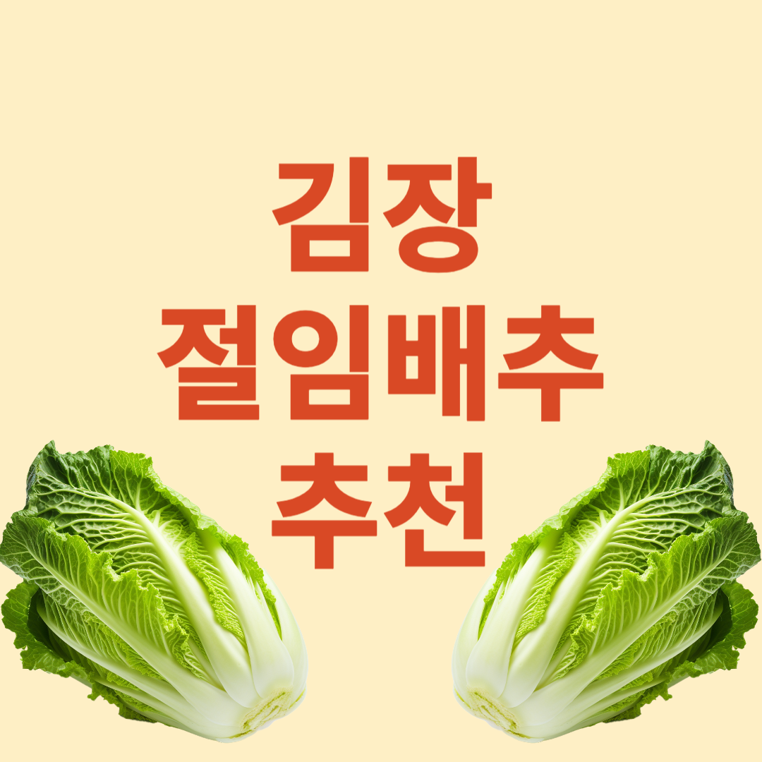 절임배추