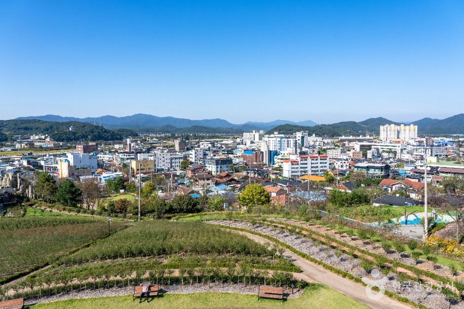 장성 가볼만한곳 베스트 10