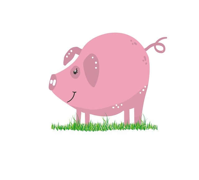 2026년 닭띠 운세 흐름 한눈에 정리