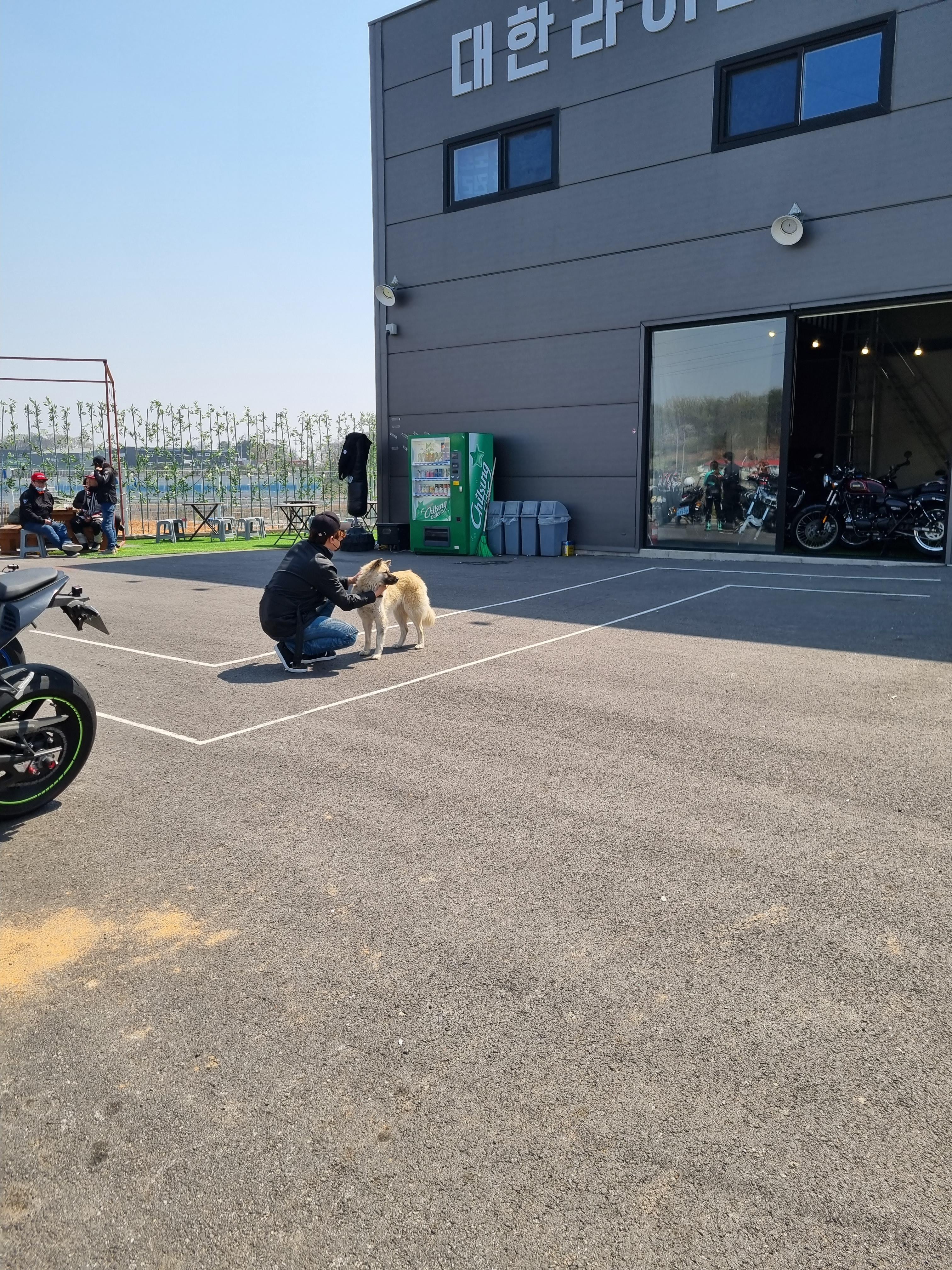 파만장