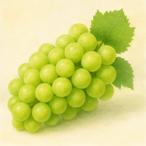 샤인머스켓-효능