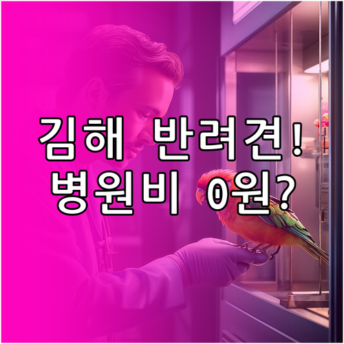김해시 반려동물 건강을 위한 진료비 ..