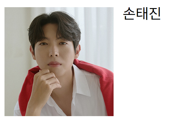 트롯대잔치 출연자 : 손태진