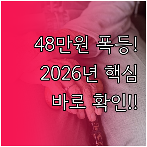 노인일자리 활동비 최대 48만원 확대..