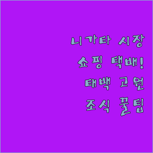 일본 니가타 시장 쇼핑 택배 이용법과..