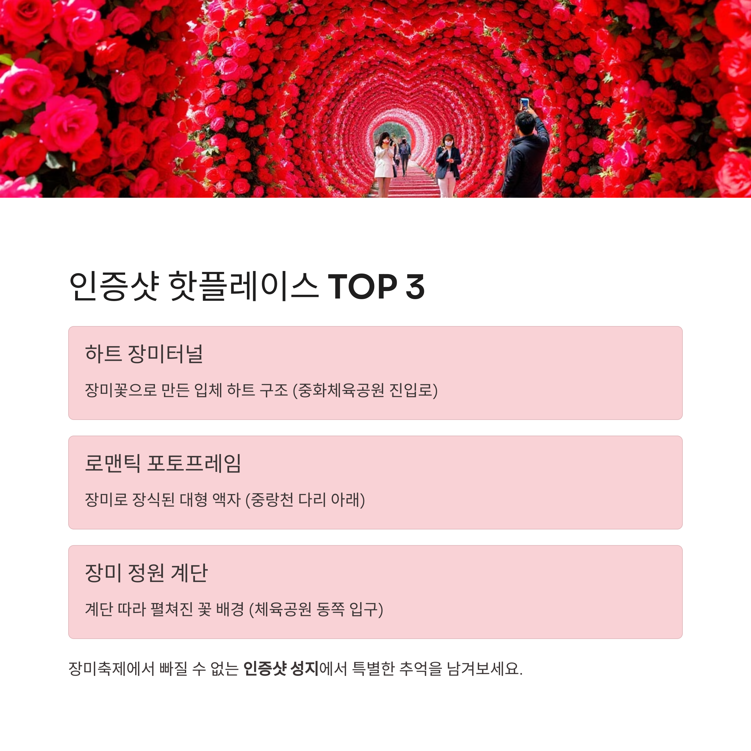 2025 서울장미축제, 중랑천을 붉게 물들인 9일간의 꽃 대향연