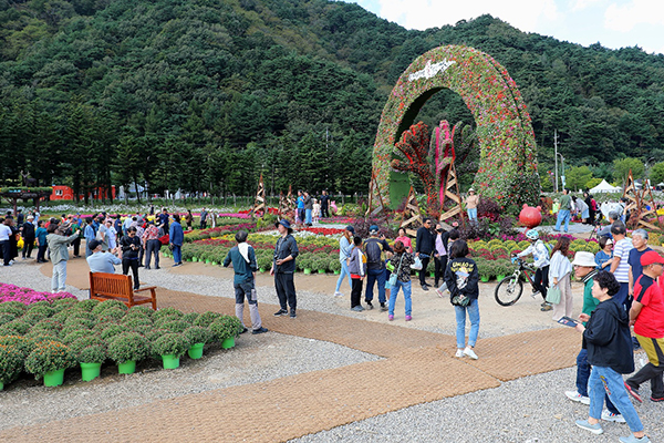 인제가을꽃축제