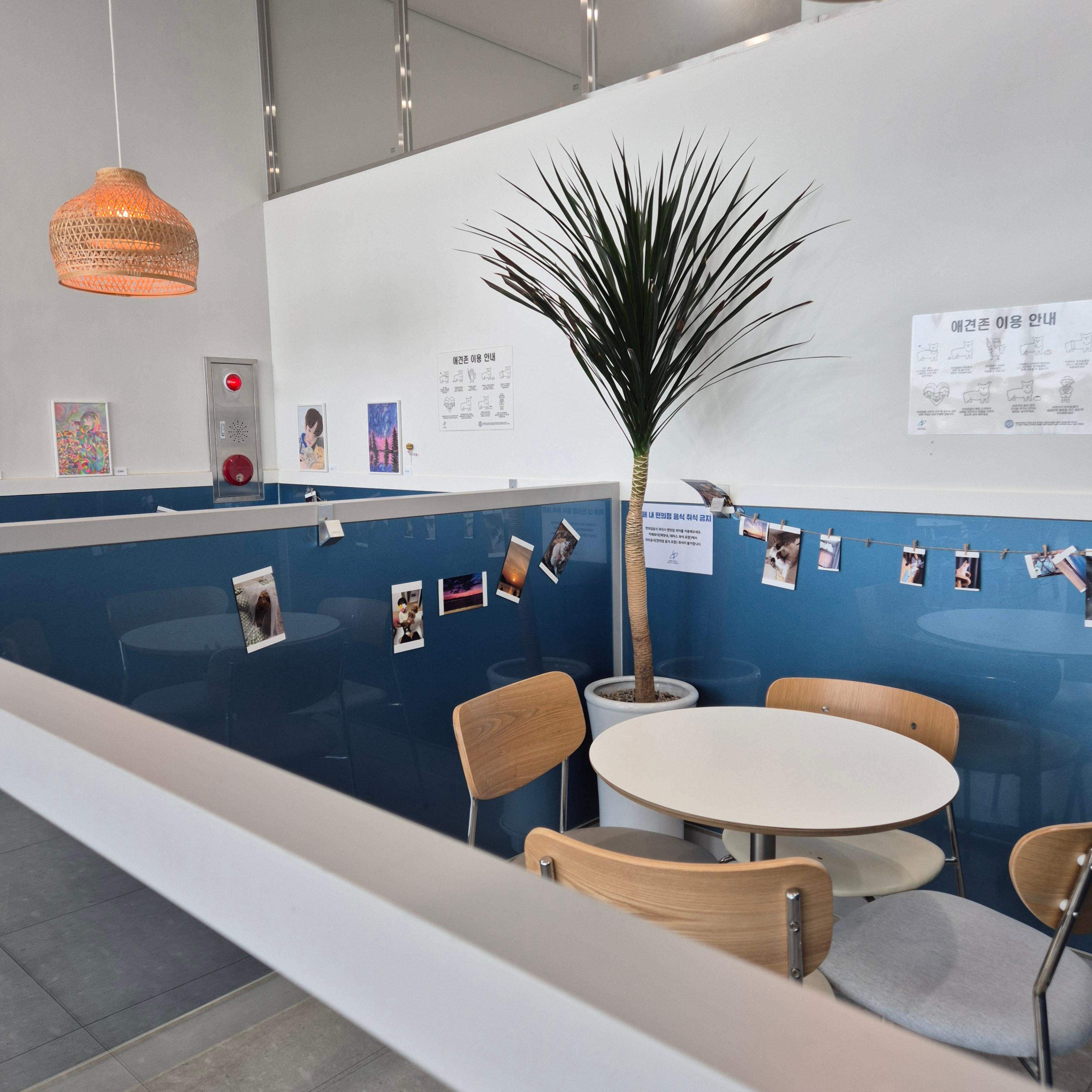 롱비치 커피앤 브래드, 송도 오션뷰 카페, 인천대교 카페, 송도 베이커리카페, 롱비치 커피앤 브래드 후기, 송도 카페 추천, 인천 오션뷰 카페