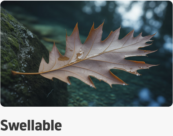 SGR의 의미, 똑똑한 젤리의 탄생