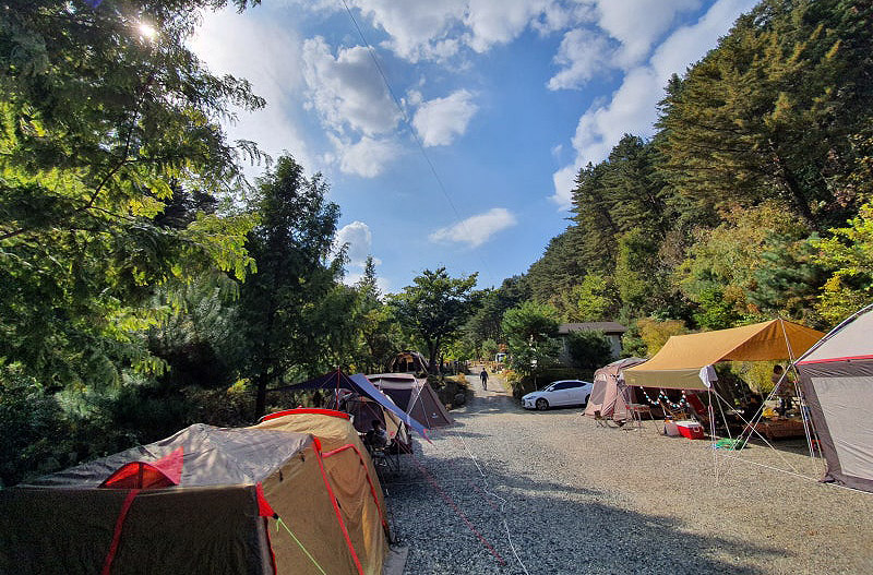 포천 포시즌스 오토캠핑장 소개