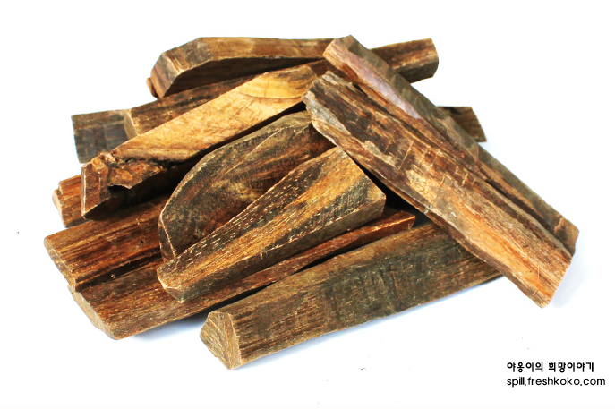 신장에 좋은 음식