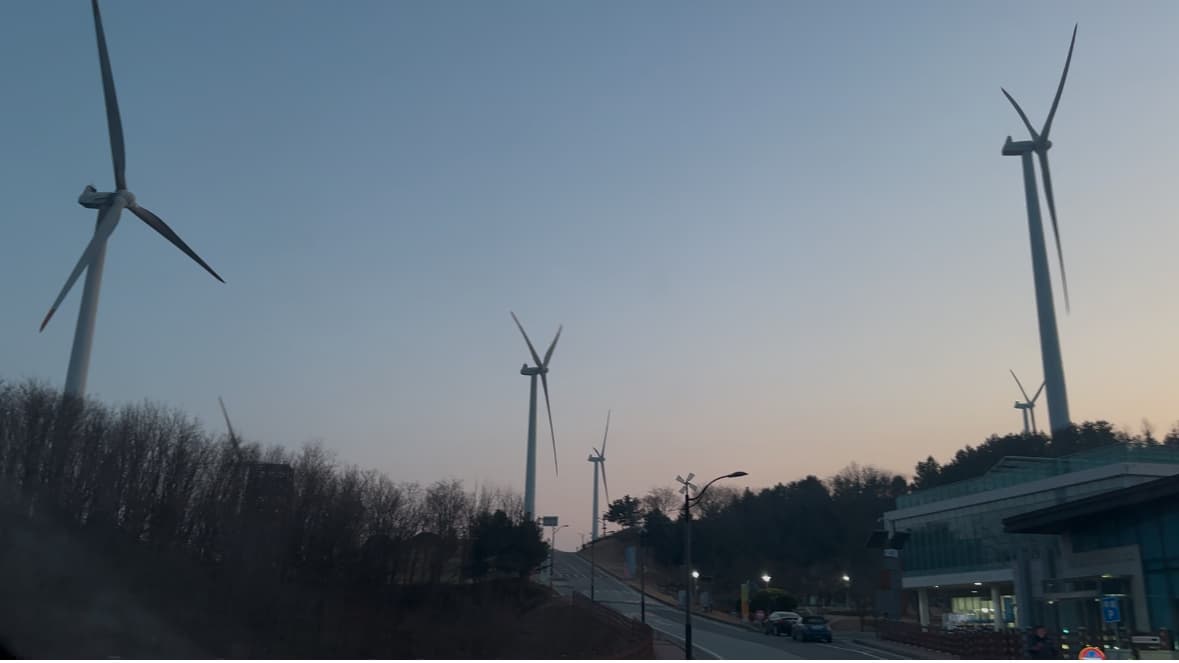 바다와 대게의 도시, 영덕으로 떠나는 특별한 여행