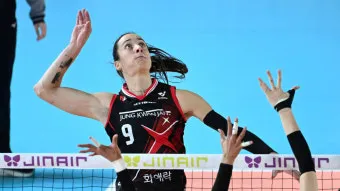 2025 2026 시즌 흥국생명 배구단 선수 명단 및 연봉 계약 FA 외국인 선수 정보 로스터 분석_14