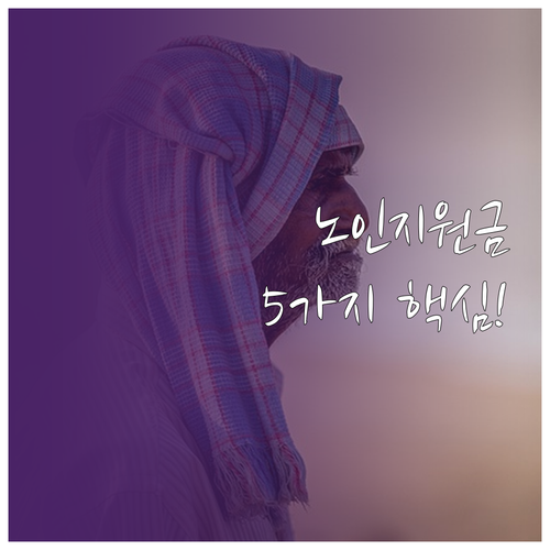 올해 달라진 노인 지원금 5가지 확인..