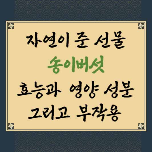 자연이 준 선물 송이버섯 효능과 영양 성분 그리고 부작용