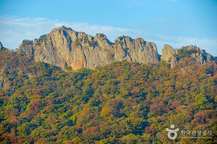 내장산국립공원