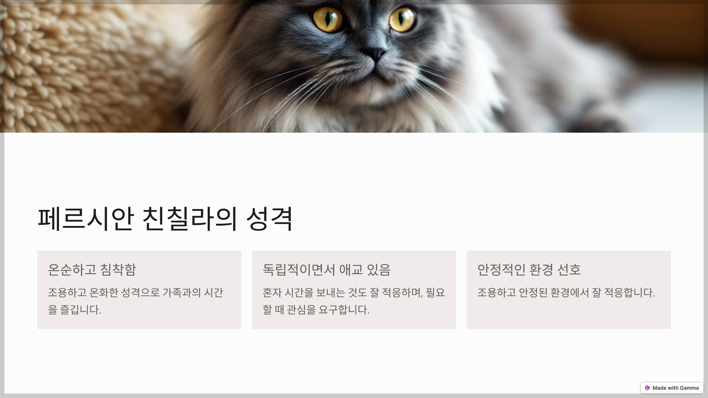 페르시안 친칠라의 성격과 행동