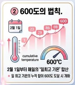 벚꽃 개화 및 만개 예상 시기