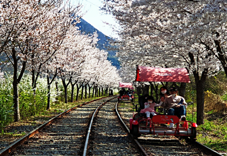 경강 레일바이크