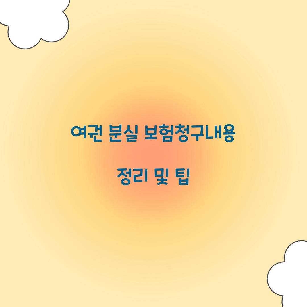 여권 분실 보험청구내용