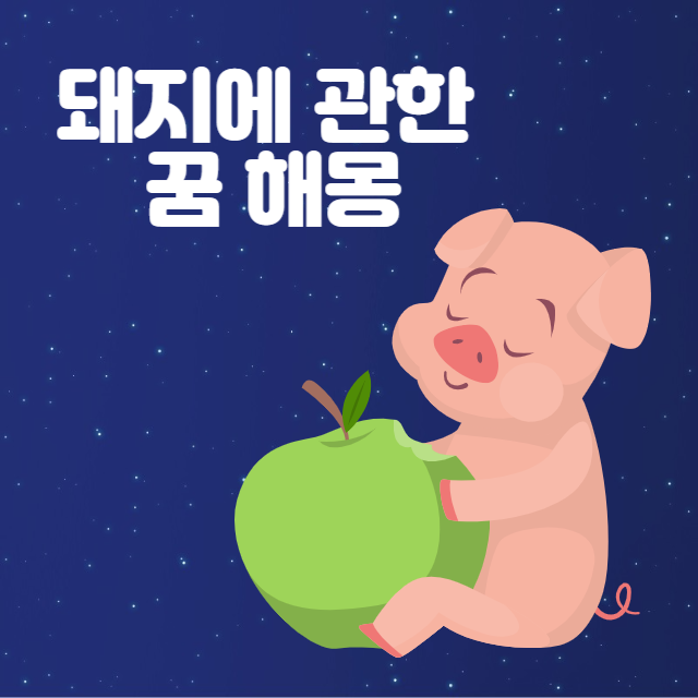 돼지꿈해몽