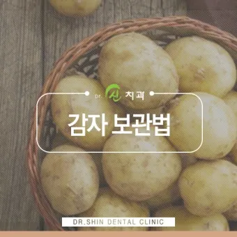 감자 보관법과 오래 신선하게 두는 꿀팁_5