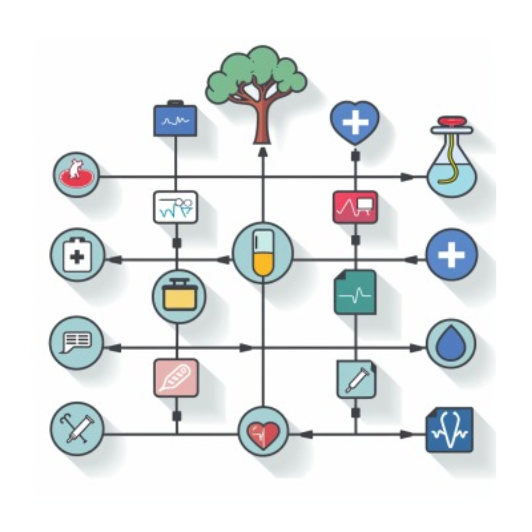 담낭제거수술과 관련된 사진입니다.
