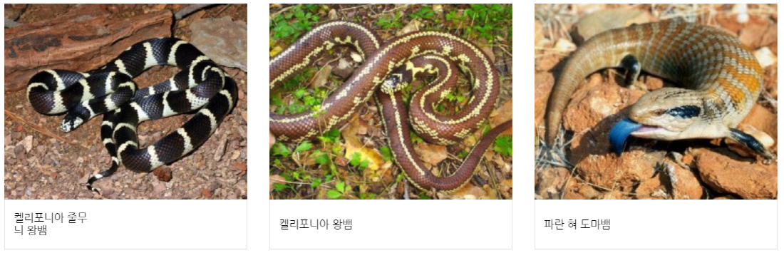 구미 쥬쥬동산