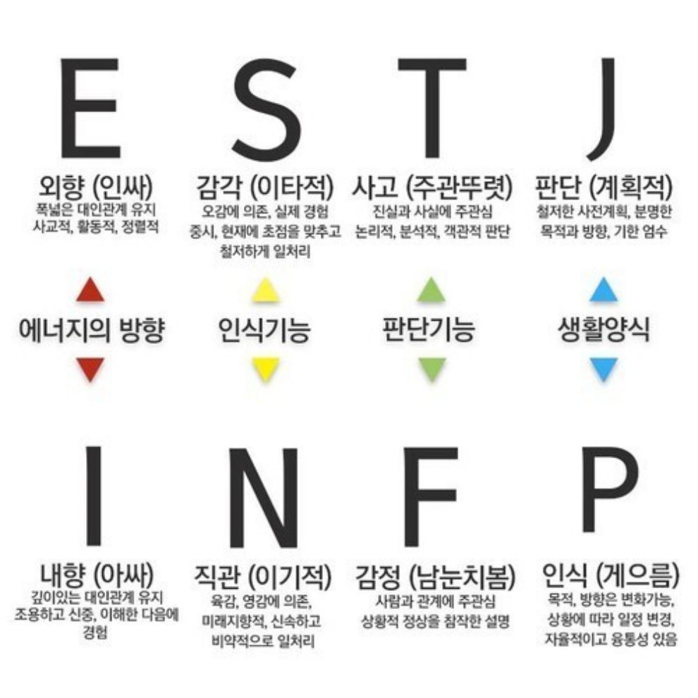 테스트잇 프로필 성격 테스트