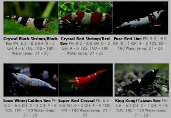 TDSTechnical Data Sheet 기술 데이터 시트로 문서가이드_9