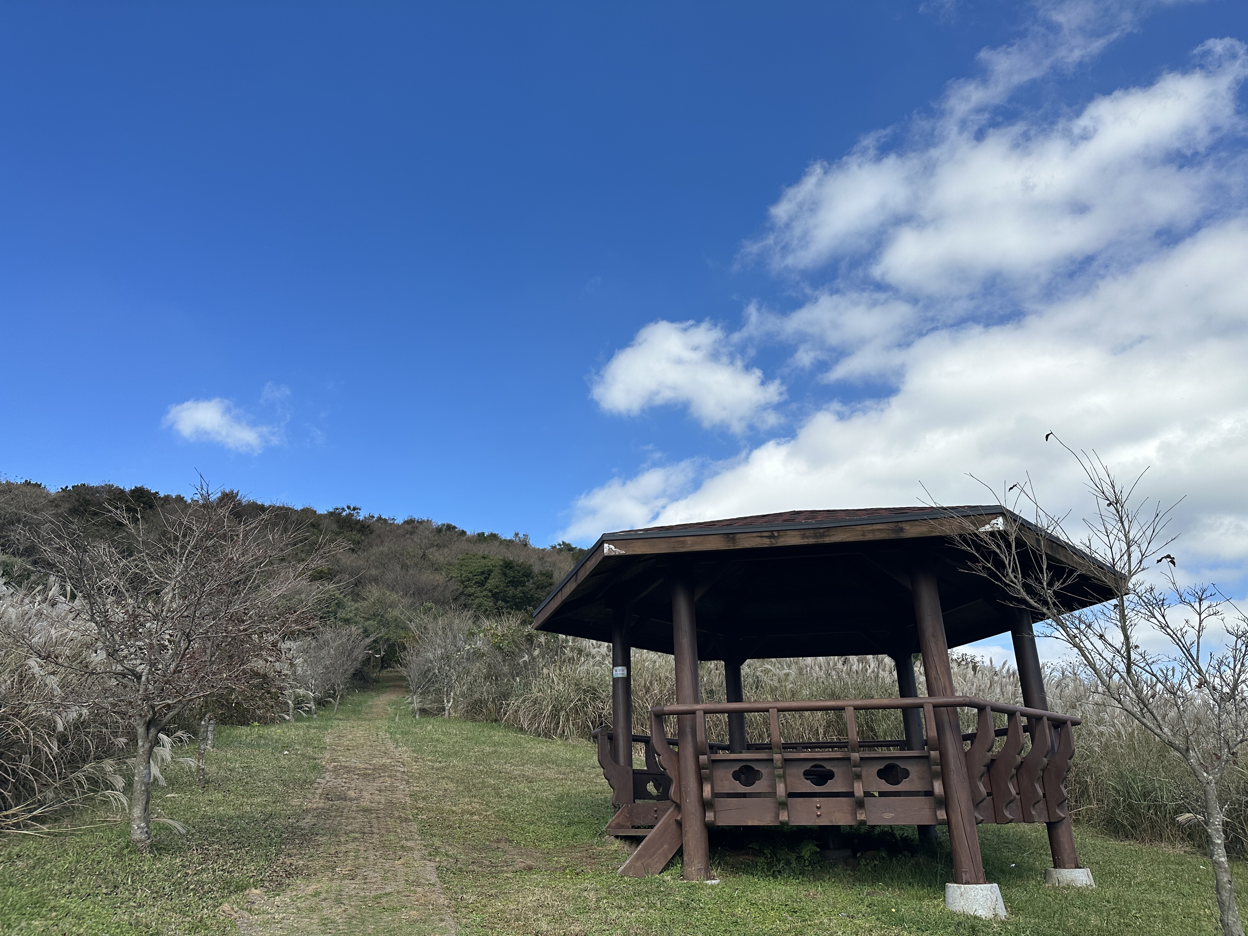 거친오름 산책로