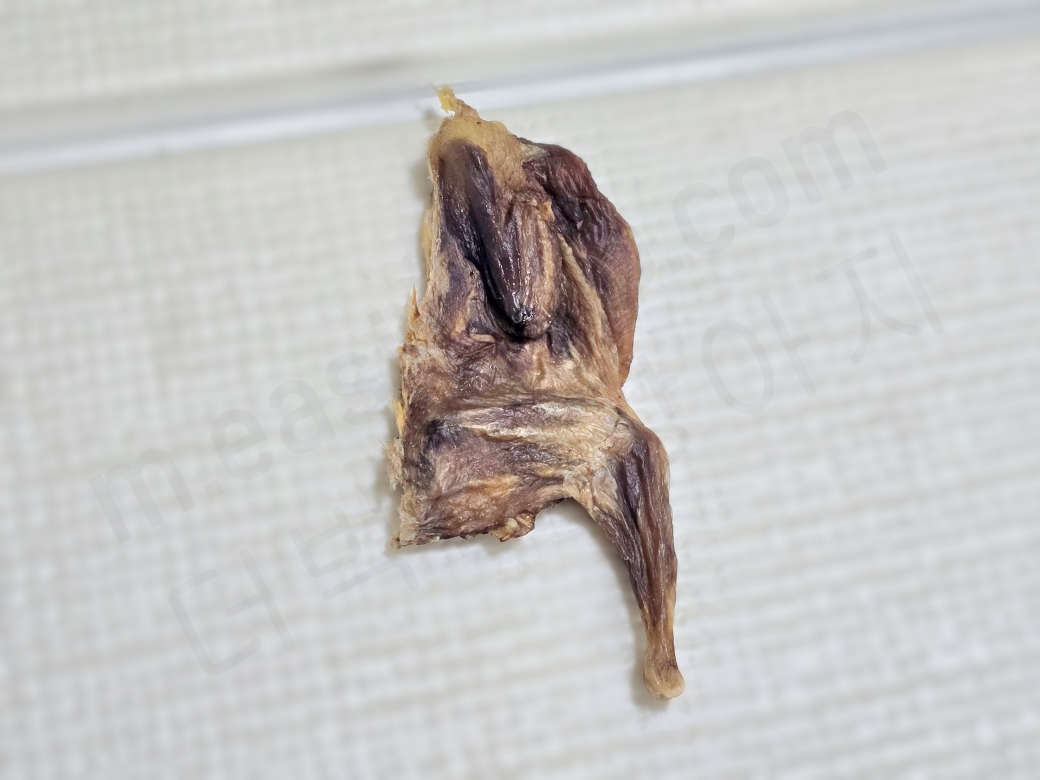 메추리 육포