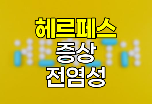 헤르페스 증상, 성병 여부, 전염성, 자연치유 가능성 상세 정리
