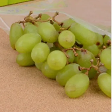 과일 보관 바나나 사과 토마토 숙성 냉장 기준표_16