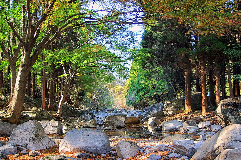내장산 국립공원 주차장