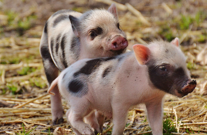 오늘의 운세 10월 31일
