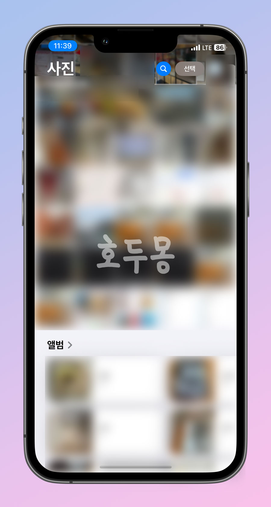 사용자화 설정 후