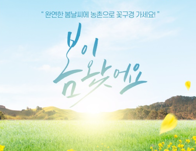 봄꽃 벚꽃개화시기