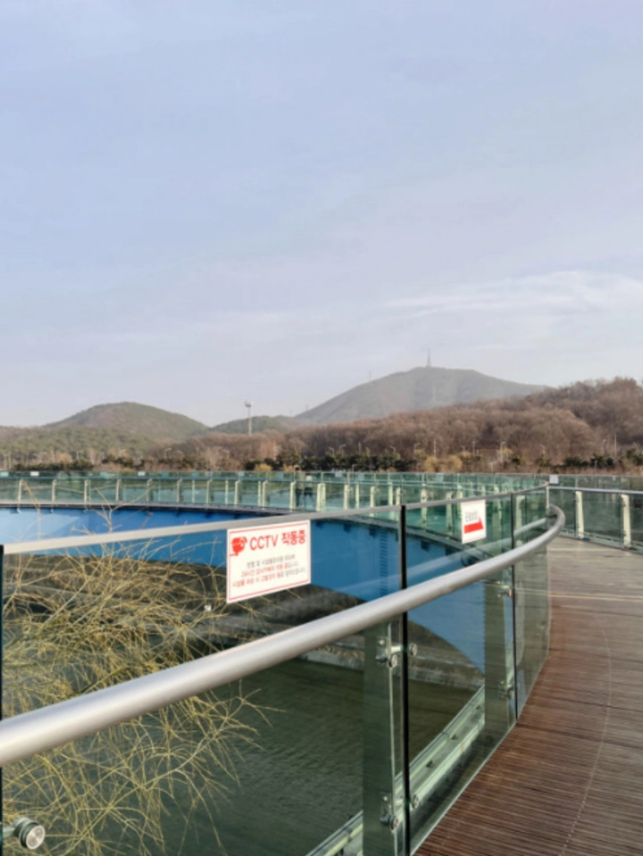 아라마루-전망대