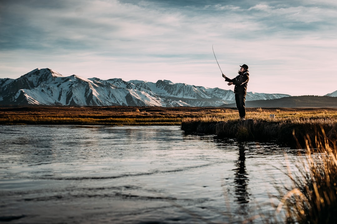 Trout