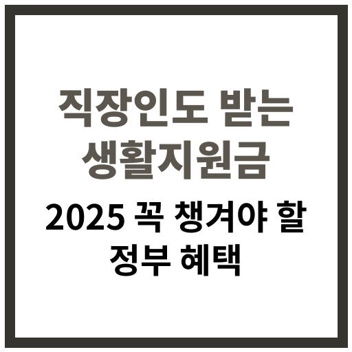 2025년 직장인이 받을 수 있는 생활 지원금 종류 요약 이미지