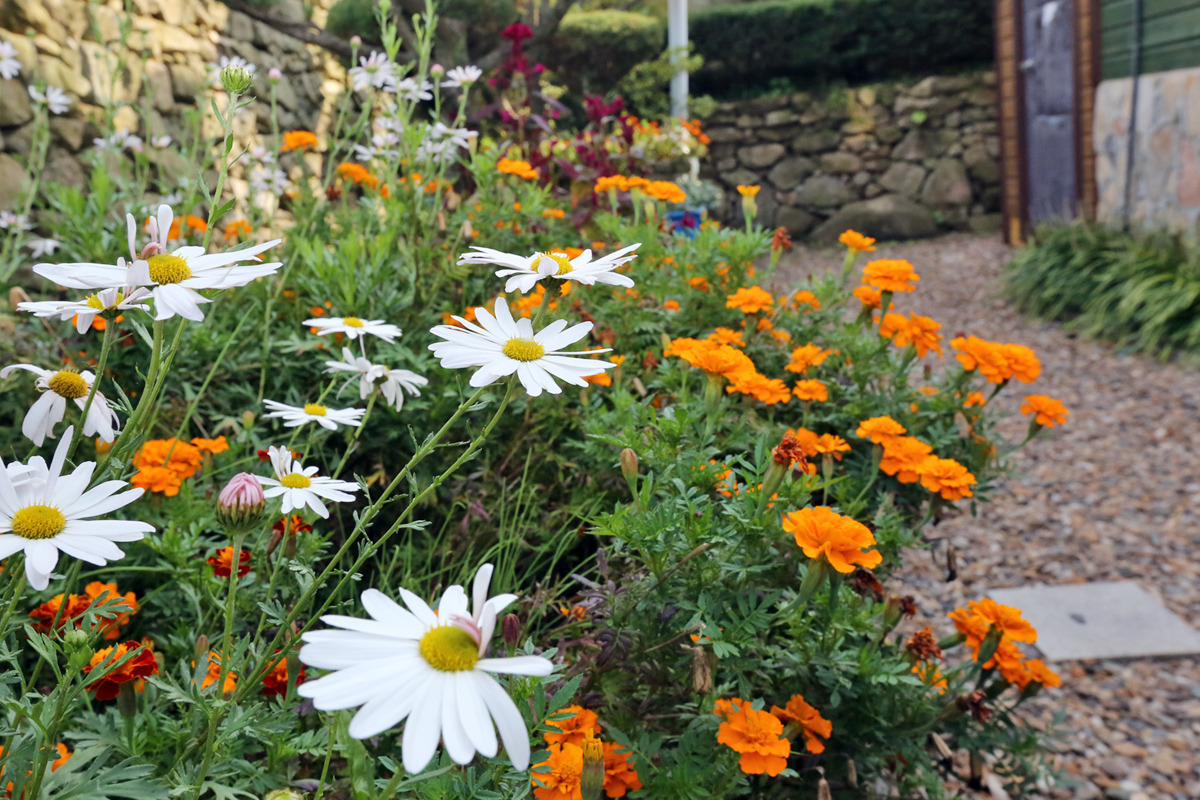 덕산 힐링 여행의 완벽한 선택! 예산 덕산허브펜션 솔직 후기 &amp; 예약 꿀팁