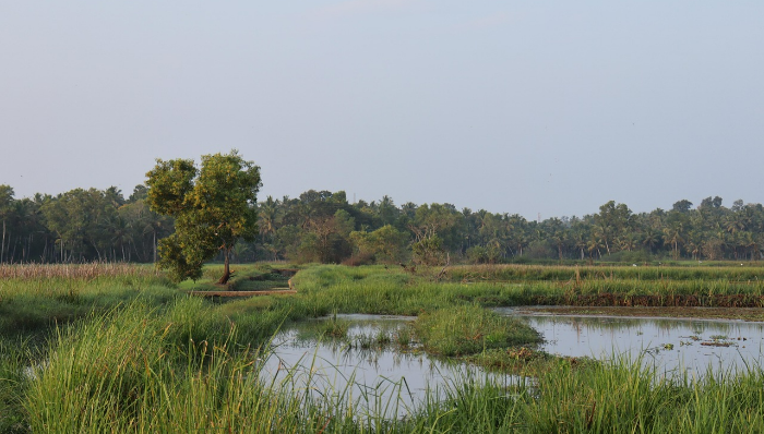 2025 손해평가사 자격증 전망을 설명하는 썸네일 이미지로, 수익, 취업, 활동 분야 등 주요 정보를 아이콘과 텍스트로 강조한 구성입니다. 파란 배경에 전문가적인 느낌을 주는 그래픽 스타일입니다.
