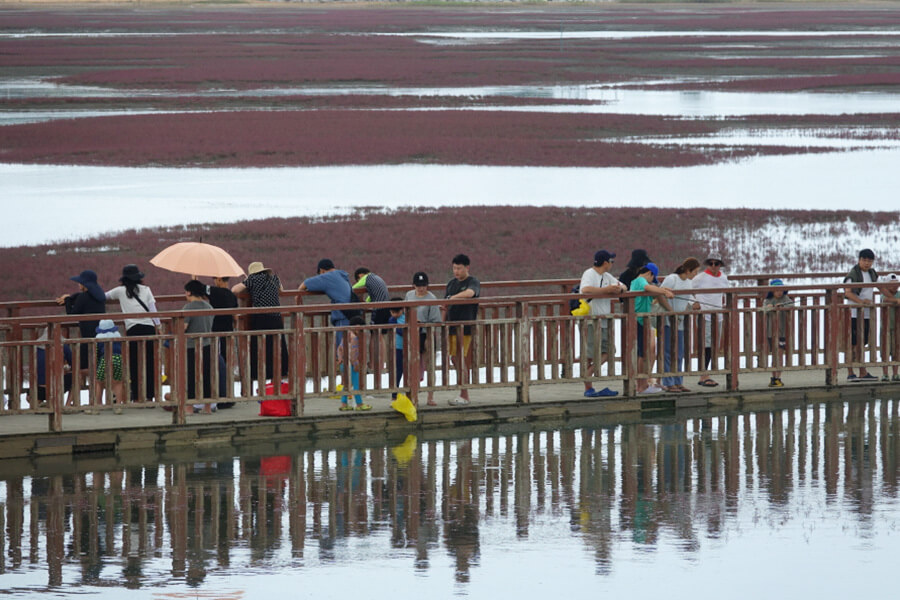가을 여행 무안, 무안 황토 갯벌